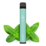 4251896699717-1 Menthol.webp