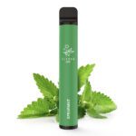 4262403380219-2 Spearmint.jpg