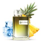 4262445575291-2 Pineapple Ice.jpg
